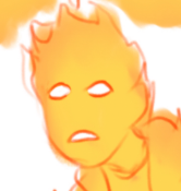 Fire form